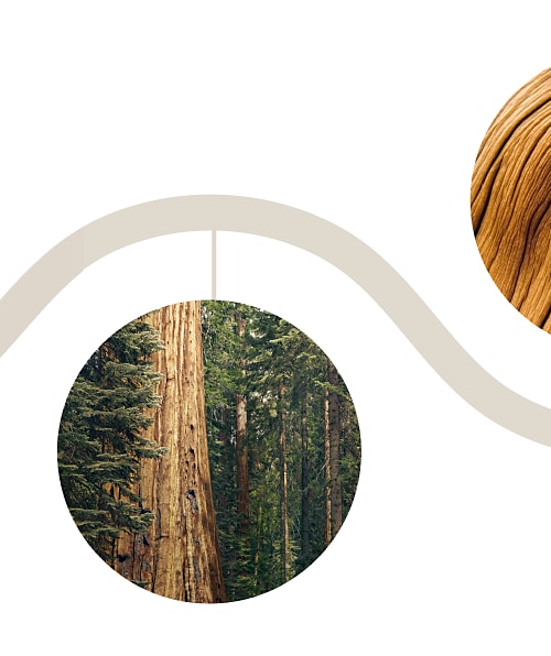 Evergreen Design Series | KitchenAid Evergreen Design Series | KitchenAid