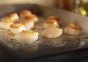 Close-up of scallops sizzling on electric burner.