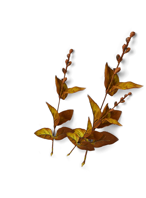 Seasonal leaves.