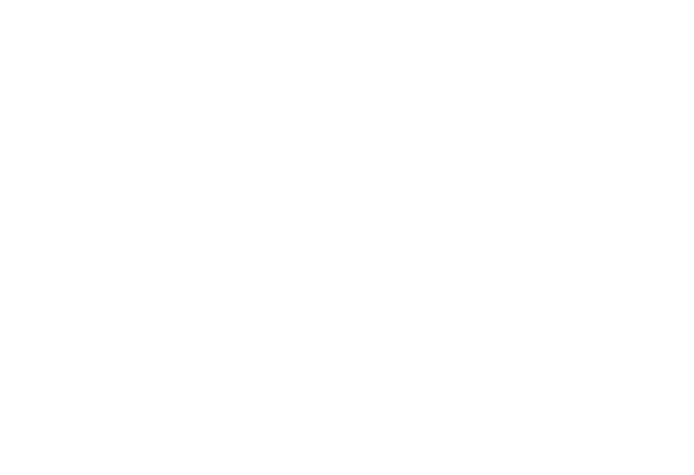 “This flower came from a mountaintop, it grew toward the sun as best it could…”