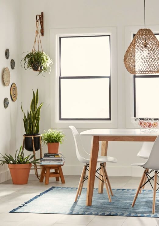 Sunny room with kitchen table on blue rug; assortment of plants in corner by window.