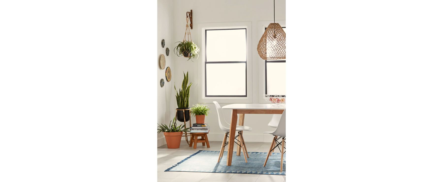 Sunny room with kitchen table on blue rug; assortment of plants in corner by window.
