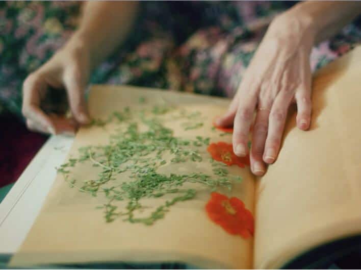 A book filled with pressed flowers.