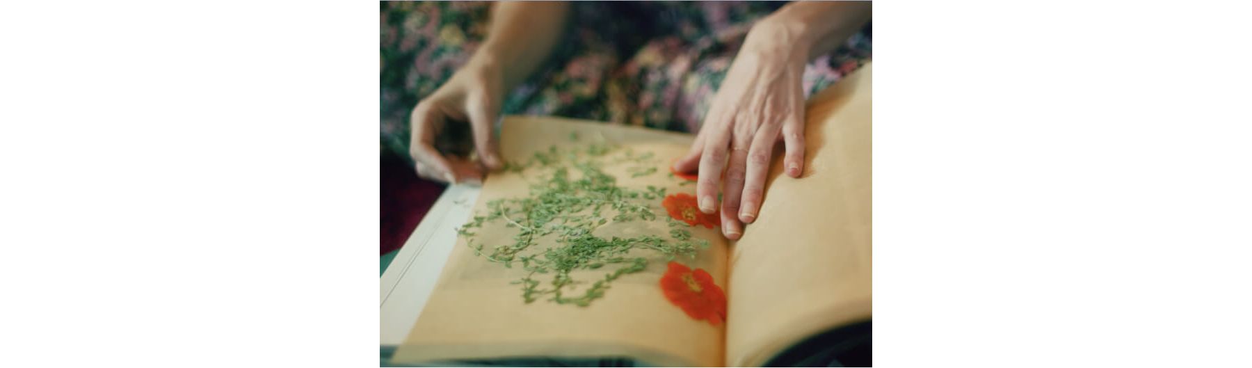 A book filled with pressed flowers.