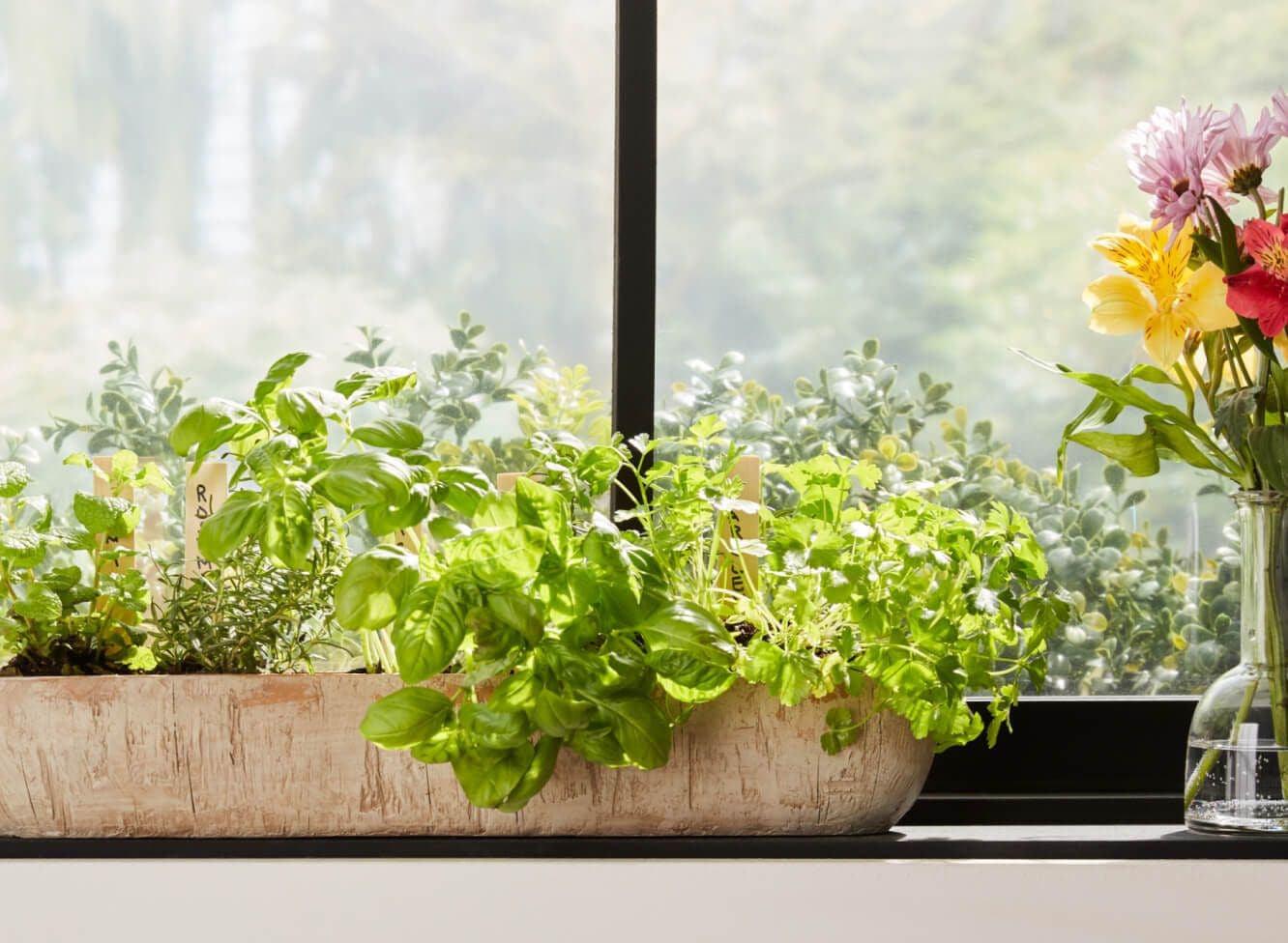 Wooden container sitting on windowsill holding an assortment of fresh herbs.