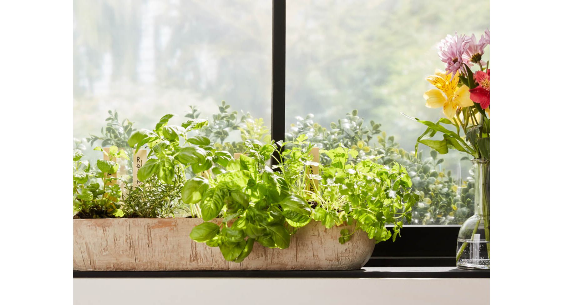 Wooden container sitting on windowsill holding an assortment of fresh herbs.