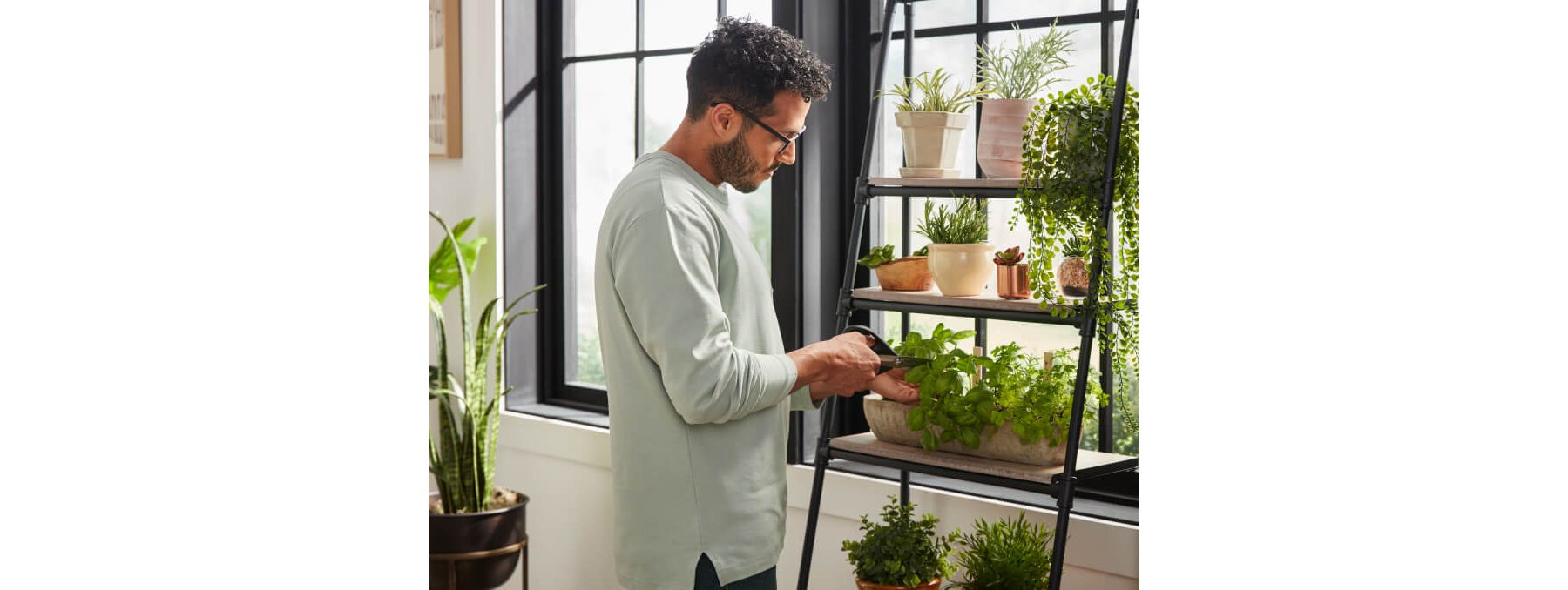 Man tending to fresh herbs in vertical indoor garden.