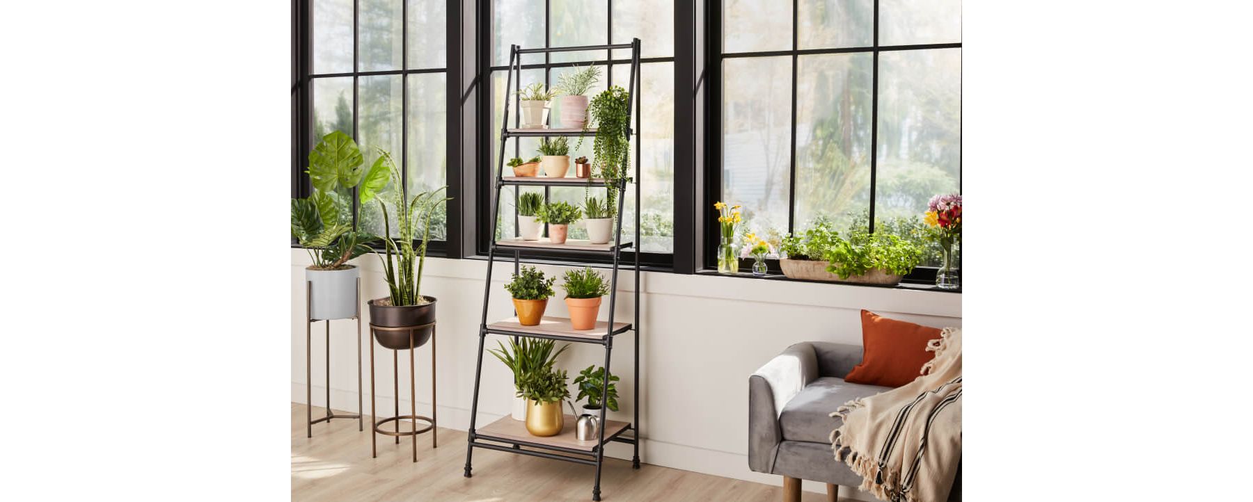 Indoor plants and herbs in pots and shelves in front of wall of windows.