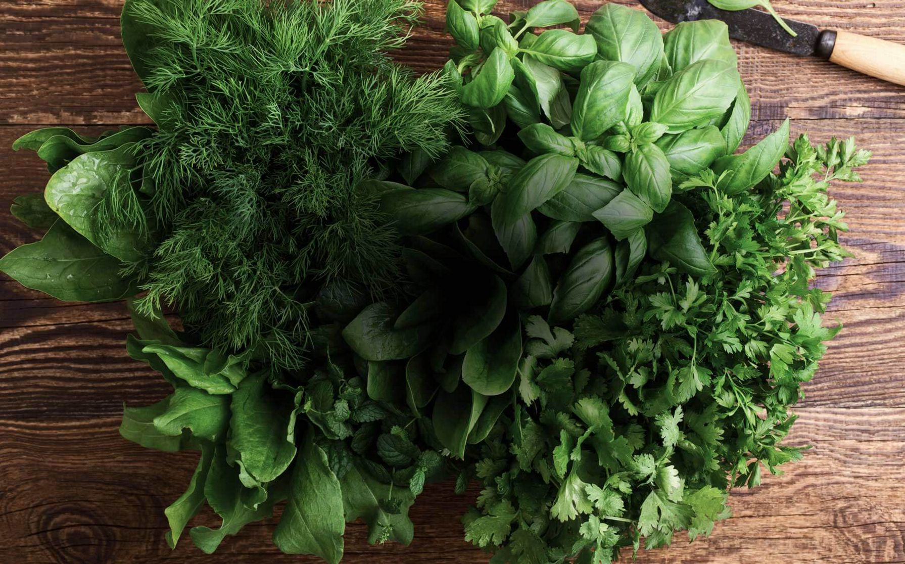 Collection of herbs; basil, dill and parsely.