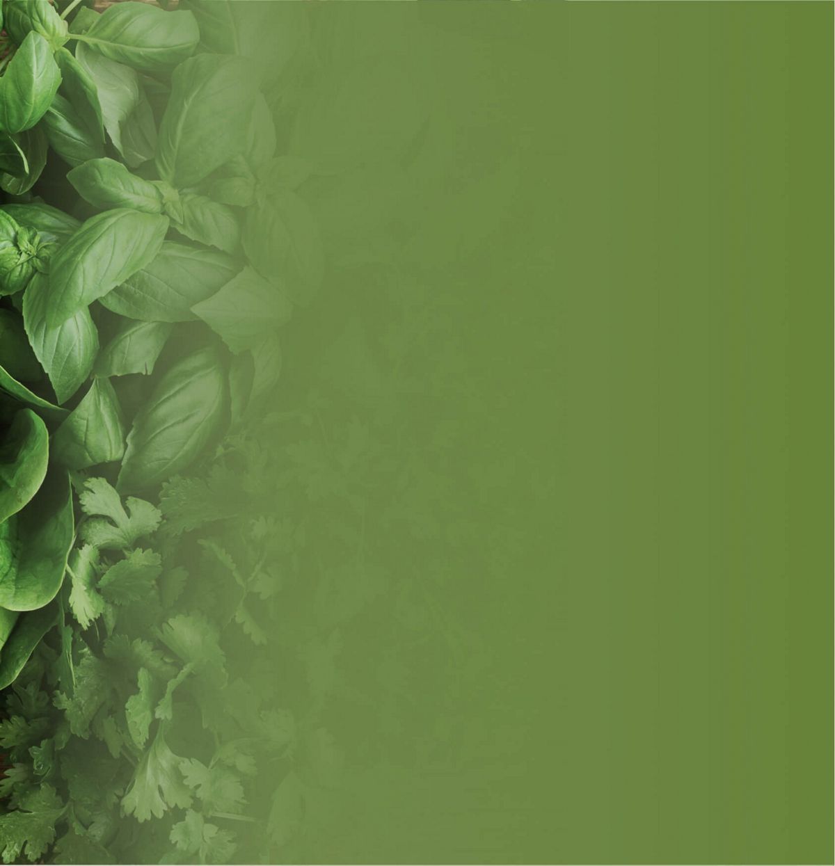 Fig leaves green background.