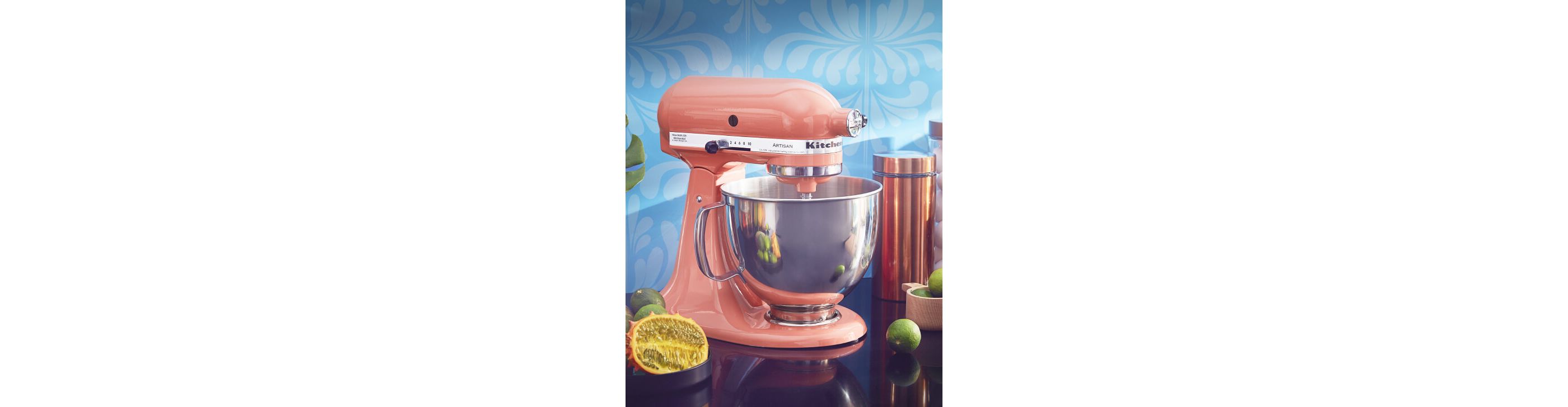 Bird of Paradise KitchenAid® stand mixer with fruit