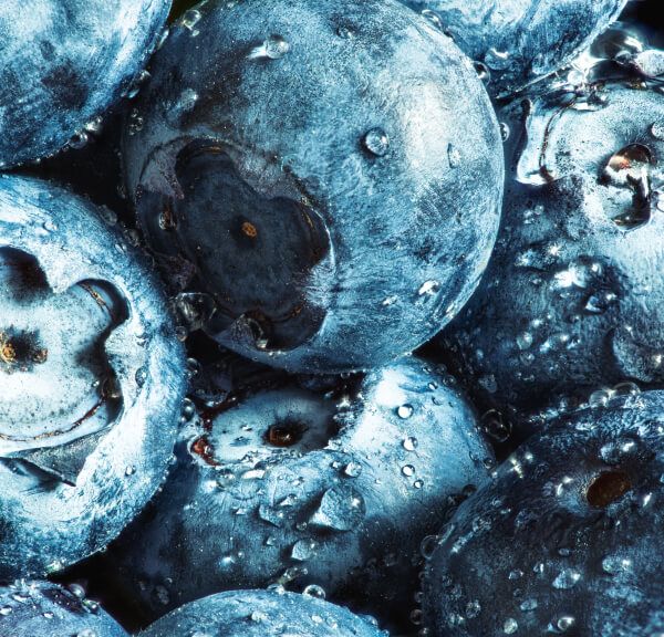 Closeup of blueberries