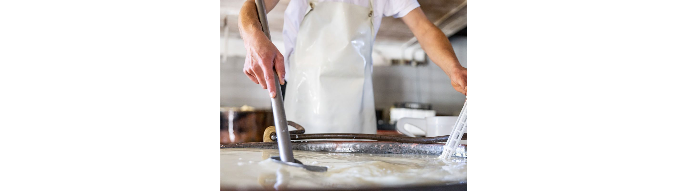 The process of making cheese.
