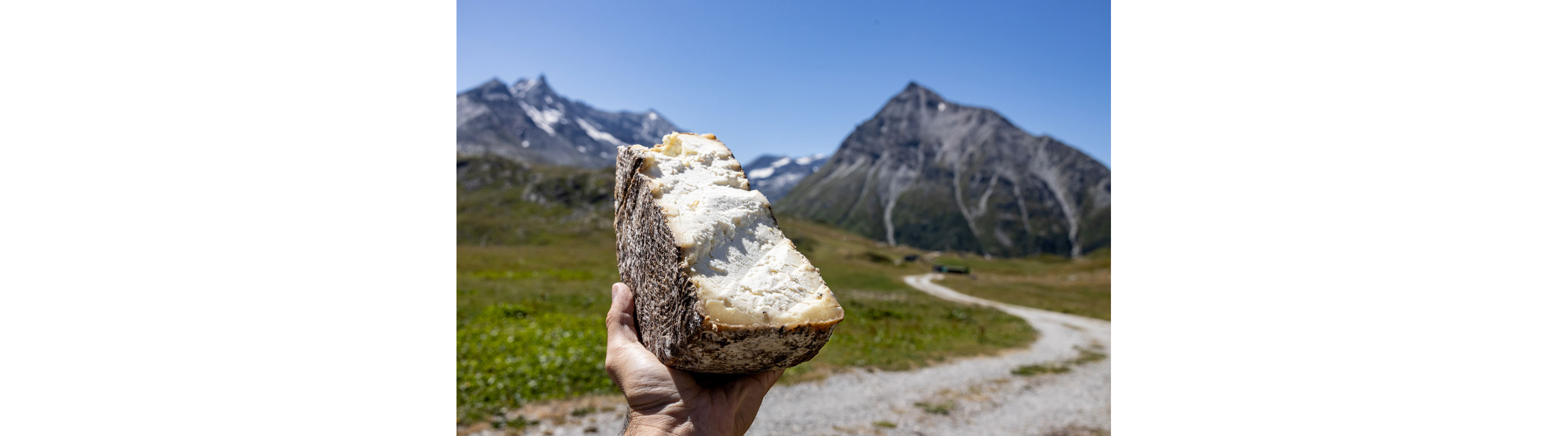 A half wheel of cheese.