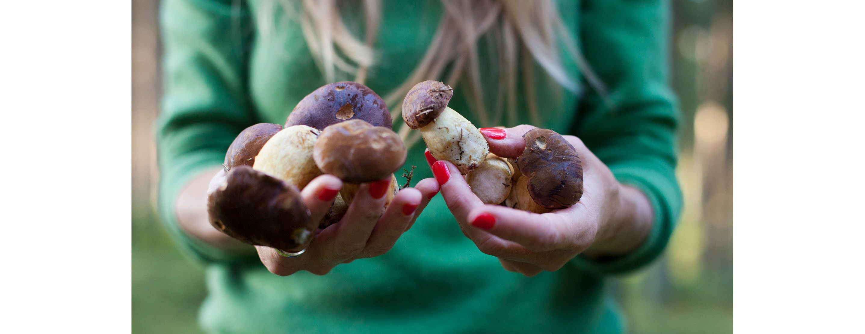 A person holding a handful of mushrooms.
