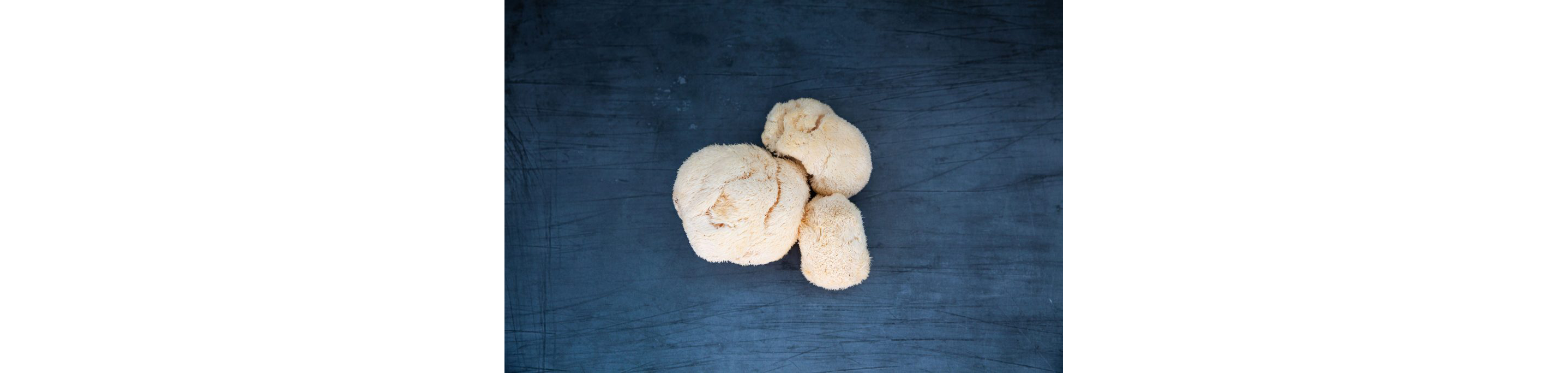 Three Lion's Mane mushrooms resting on a dark blue table.