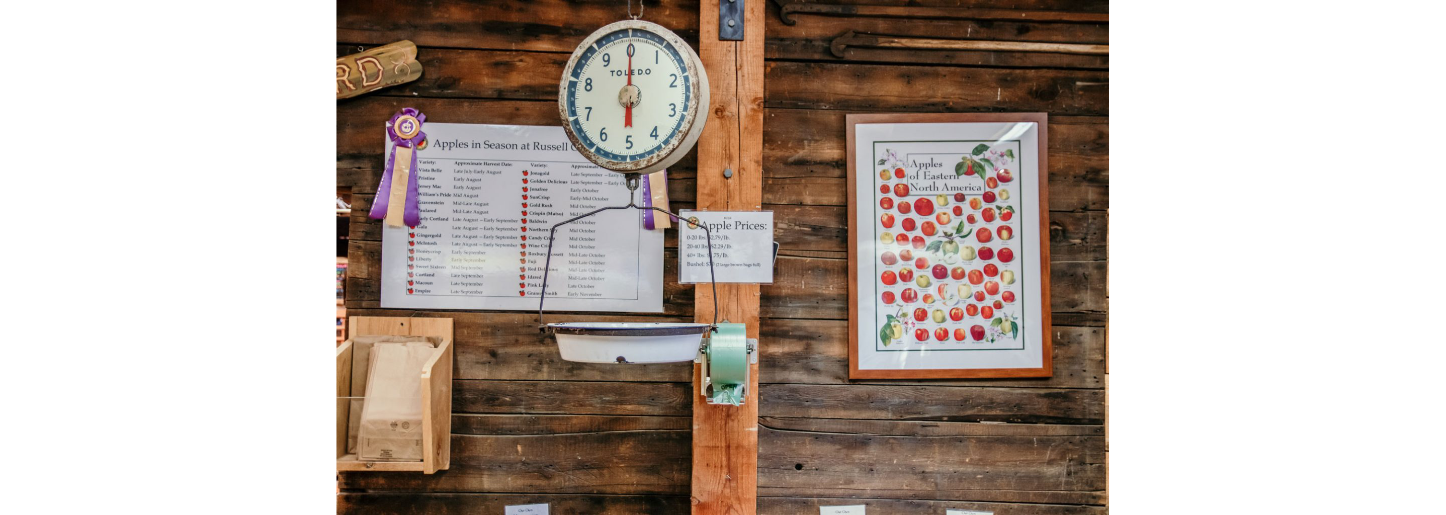 An old-fashioned scale used to weigh apples.