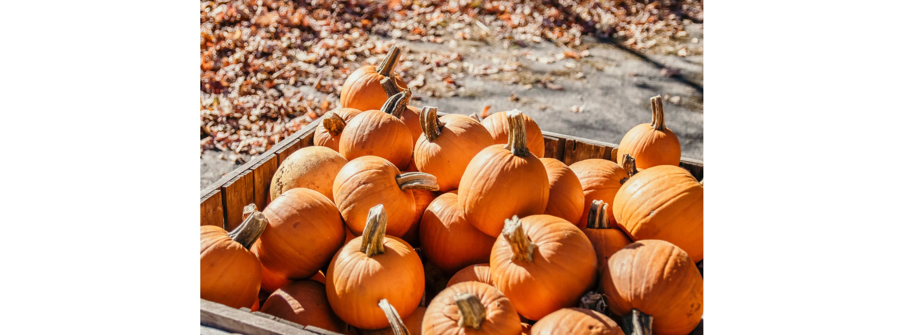 A large wooden box filled to the brim with pumpkins.