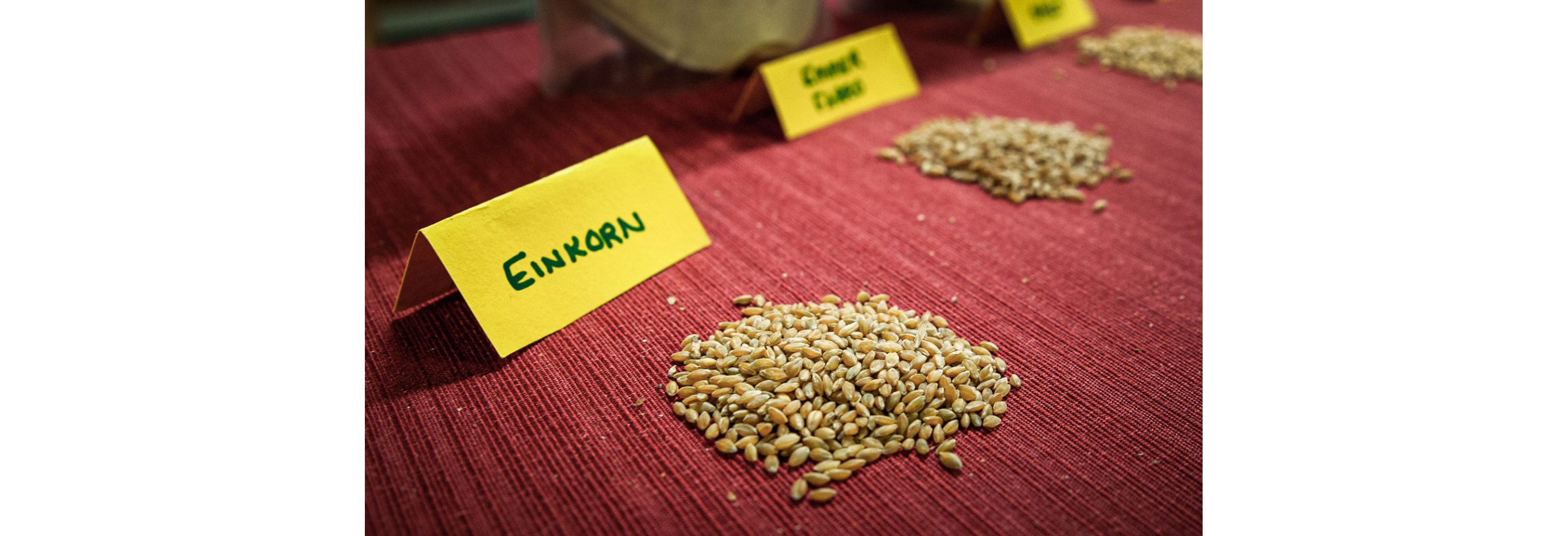 Sorted piles of grain resting on a red table cloth.