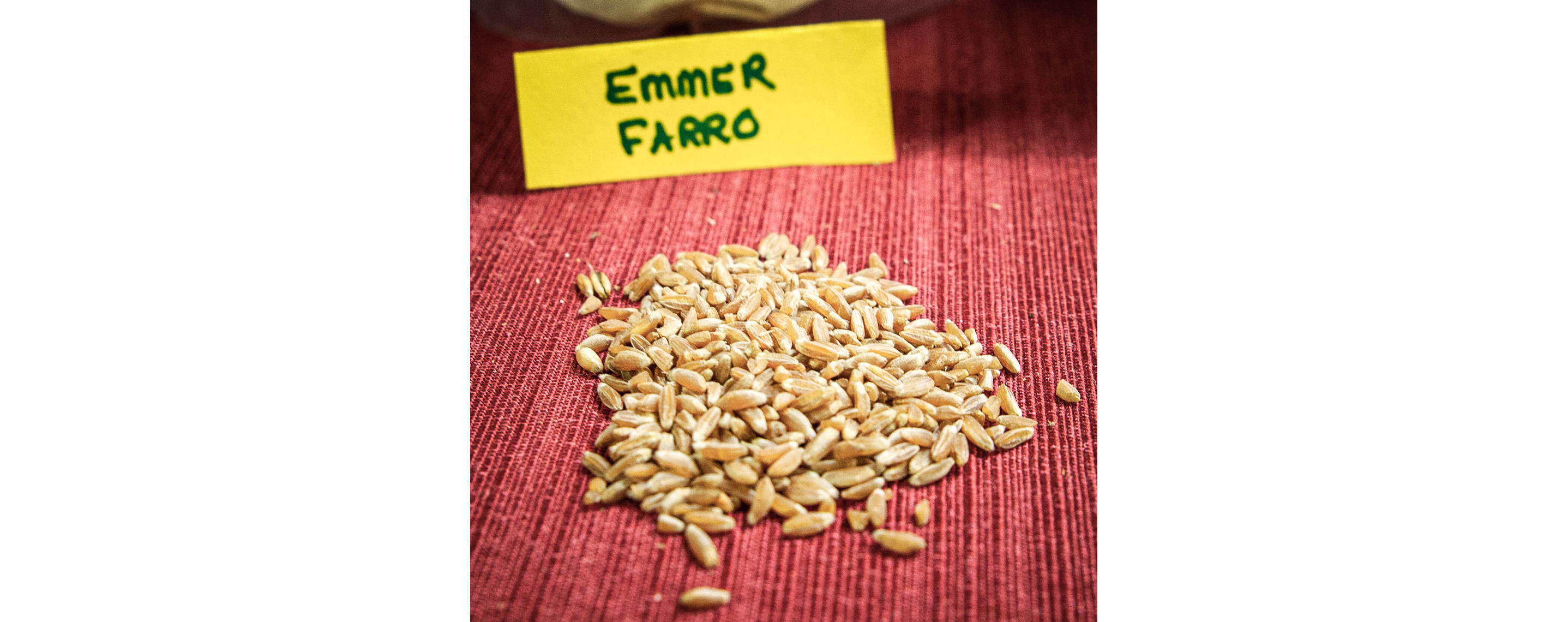 A small pile of Emmer Farro grain.