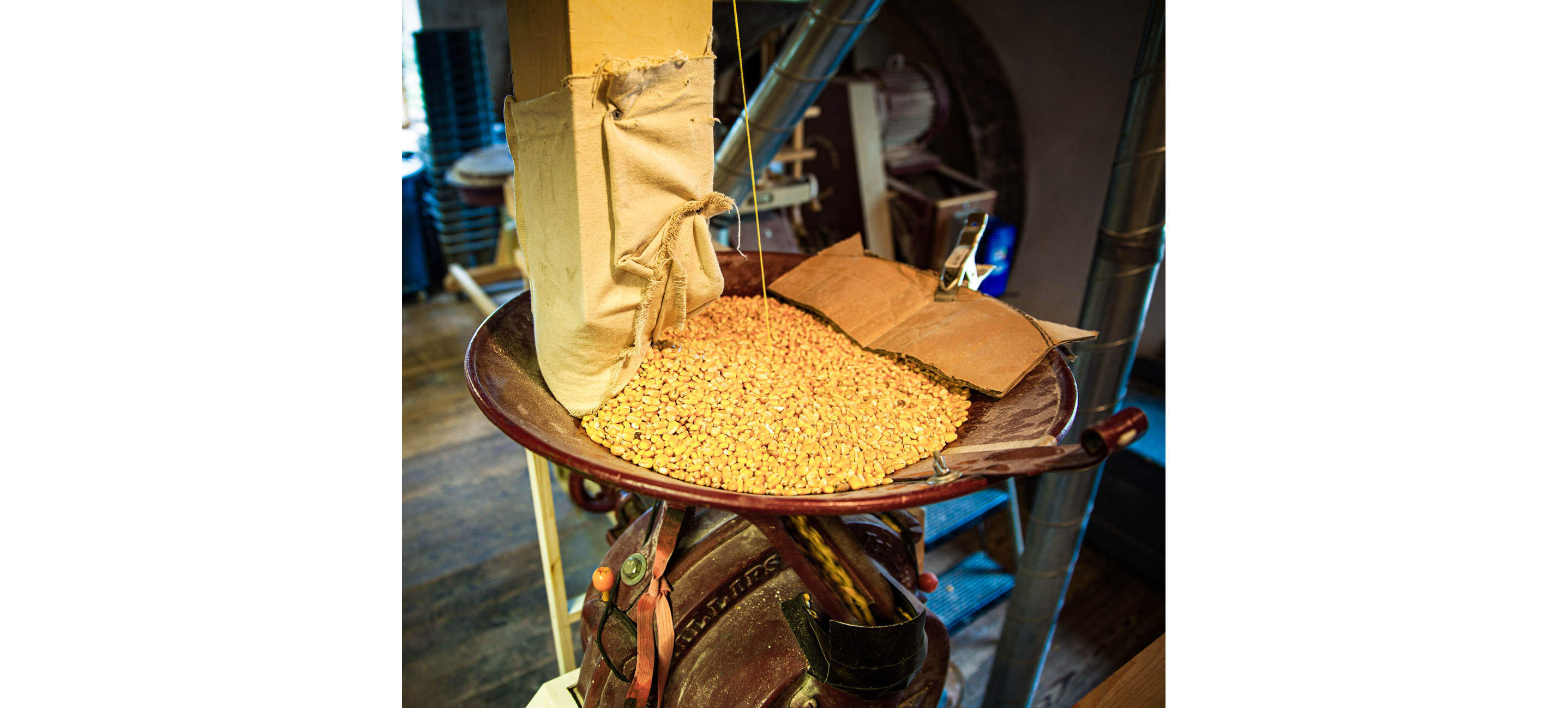 A bag of grain poured into a metal grain mill grinder.