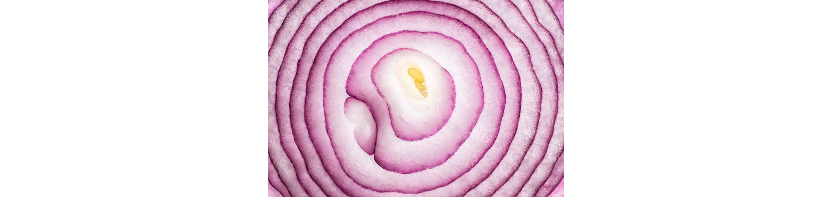 A close-up of the inner rings of a sliced red onion.