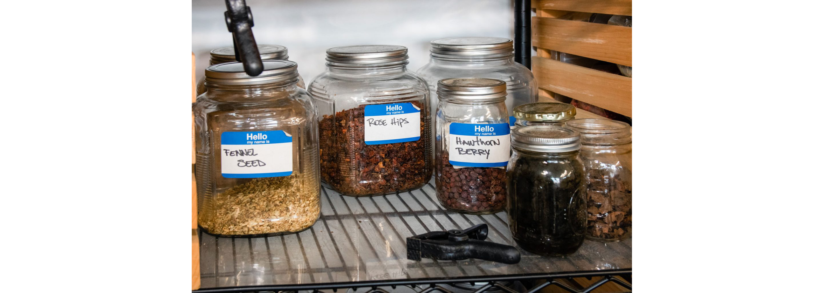 Glass jars filled with different herbs used for distilling.