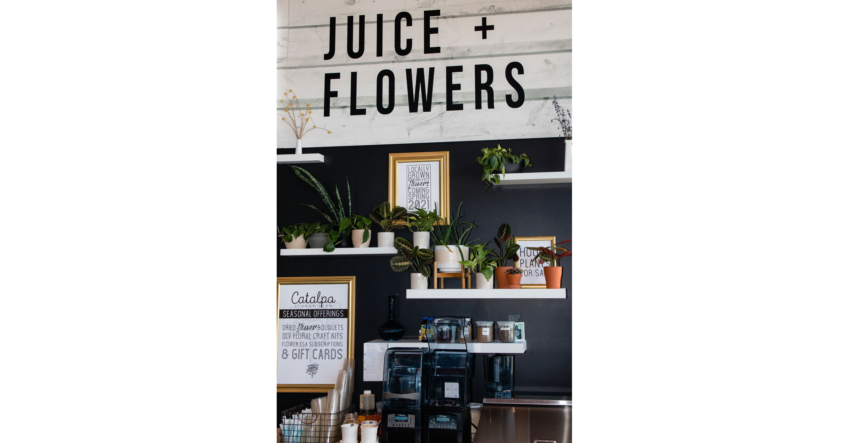 The signage and plants of Farm Girl + Catalpa.