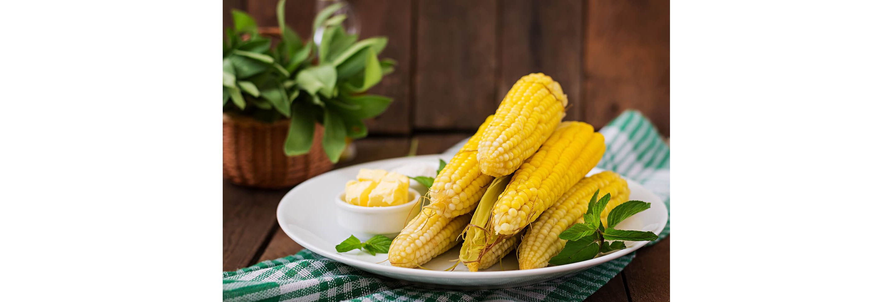 A fresh plate of cooked corn on the cob with a small dish of butter on the side.