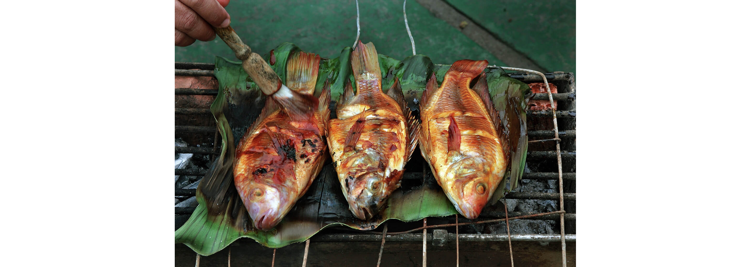 Three whole fished freshly grilled in banana leaves.