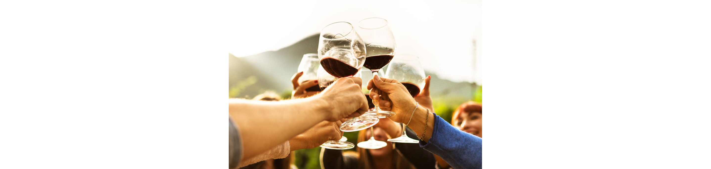 A circle of friends clinking wine glasses together in celebration.