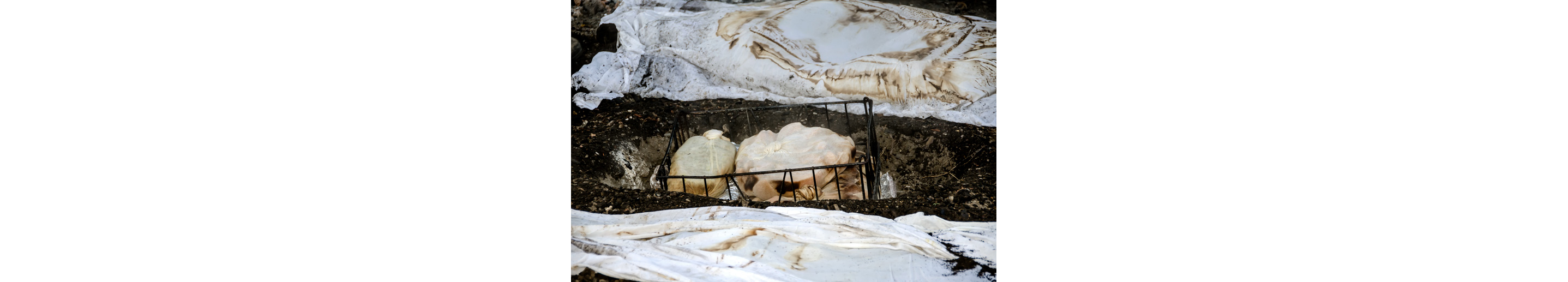 Maori hangi: food wrapped in wet cloth in a metal basket cooked with heated rocks in a shallow pit.
