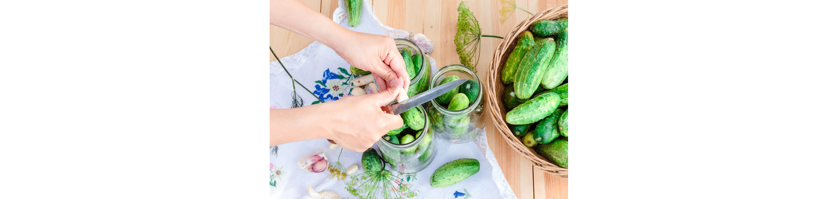 Short, thick cucumbers placed in glass jars waiting to be pickled with ginger and garlic.