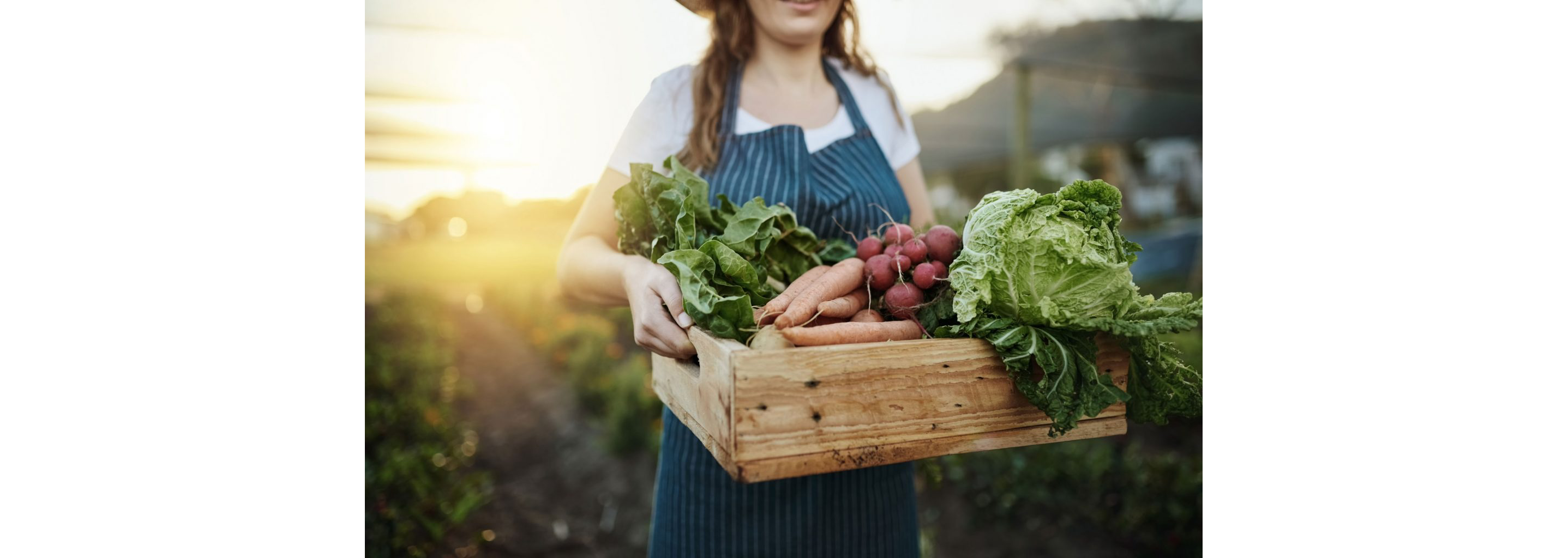 A woman carrying a wooden box of carrots, lettuce and other freshly picked vegetables.