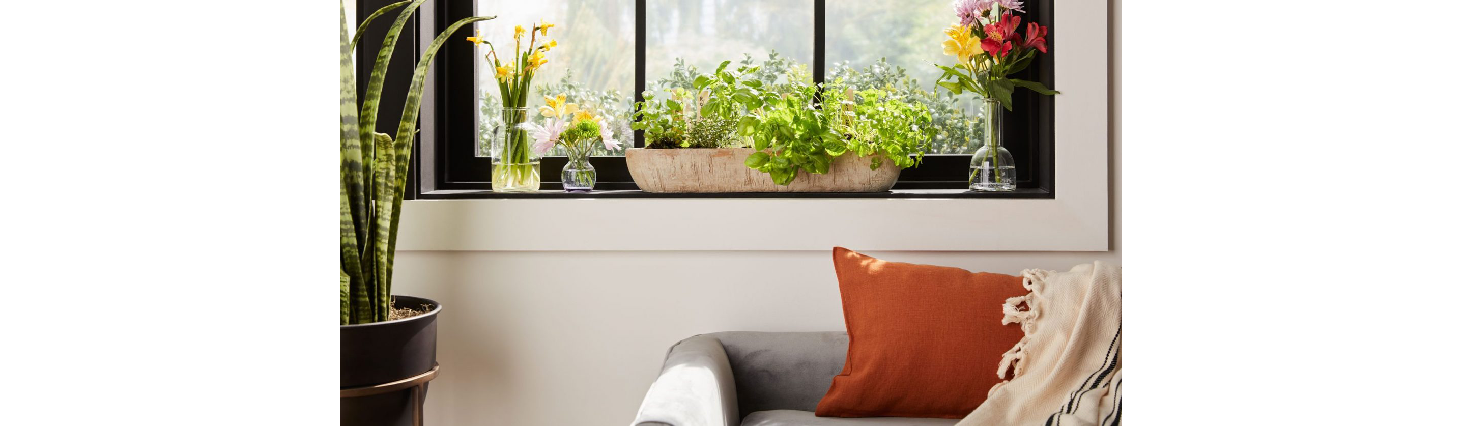 A window sill filled with plants.