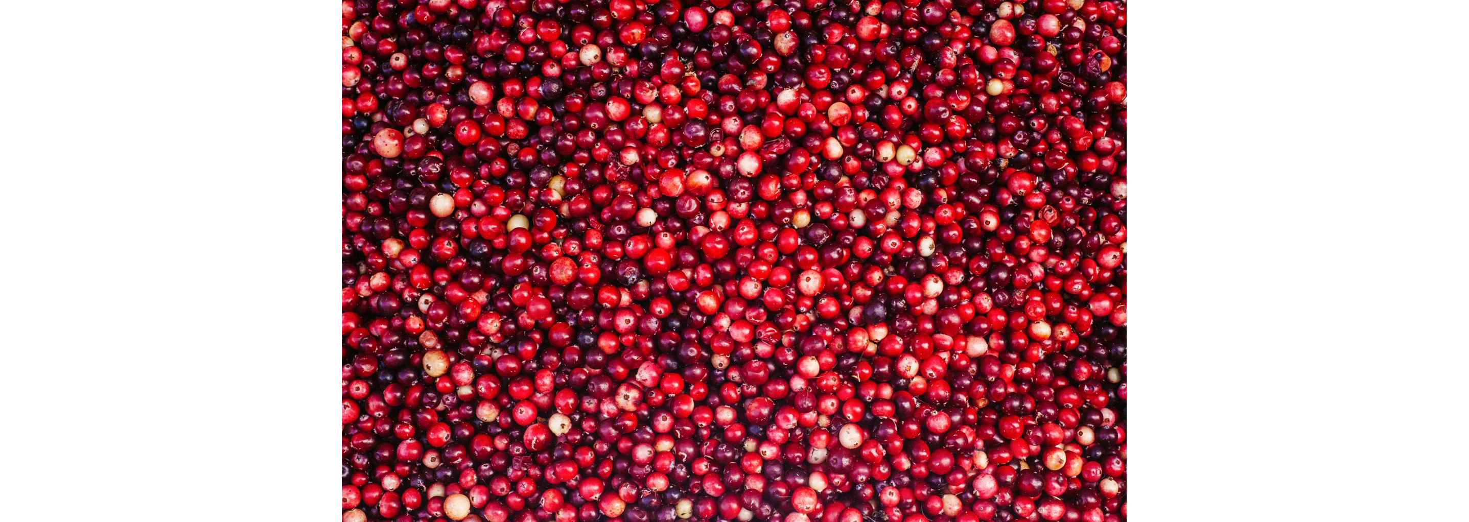 A sea of bright, red cranberries.