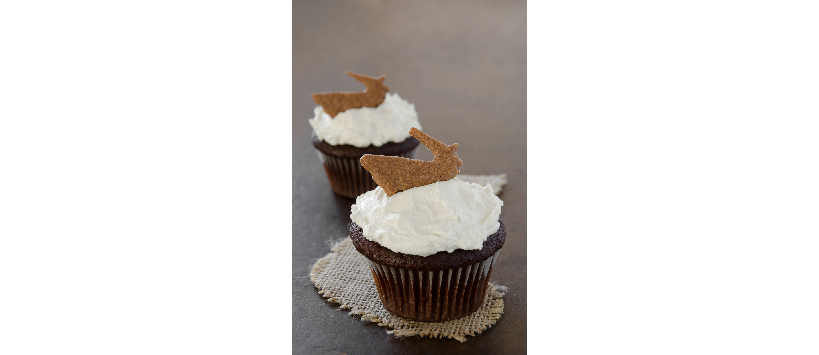 Two delicious cupcakes.