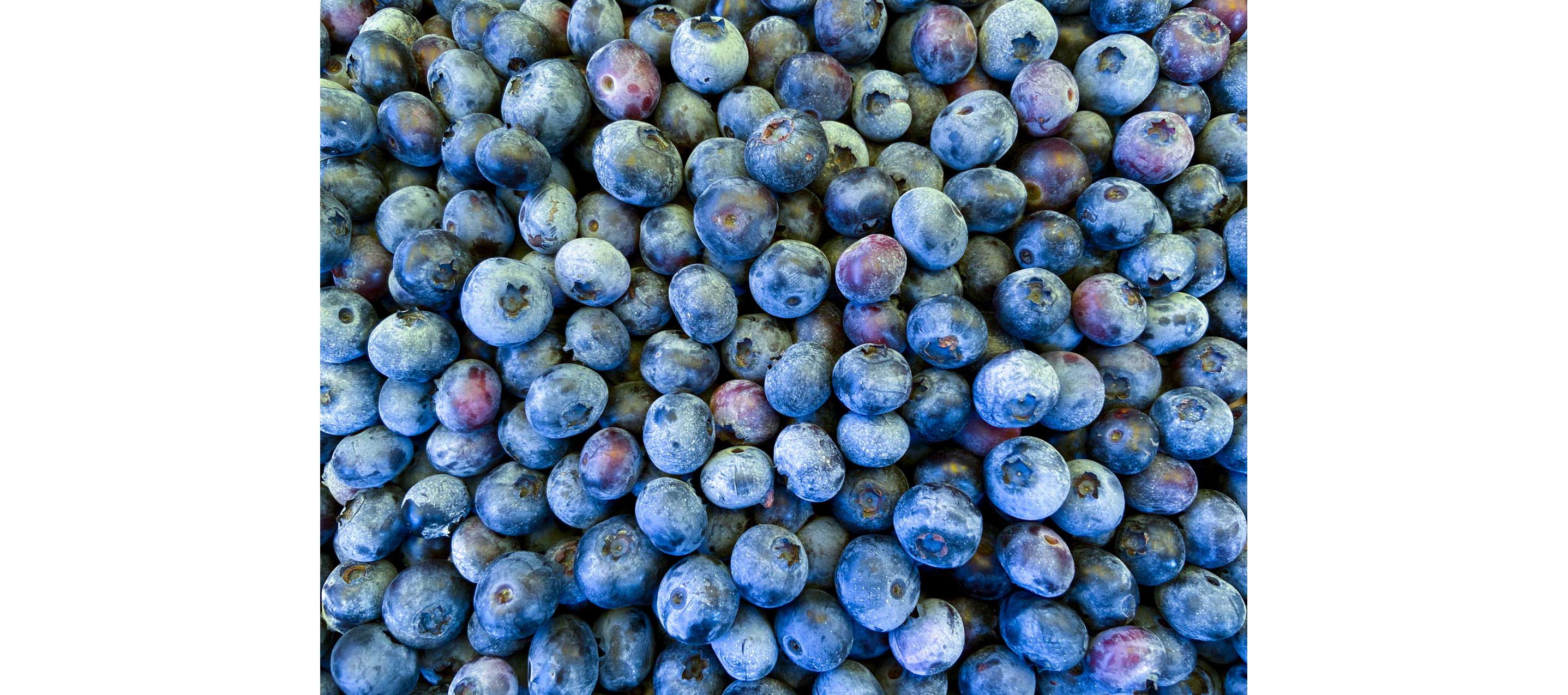 A close-up of clean, fresh blueberries.