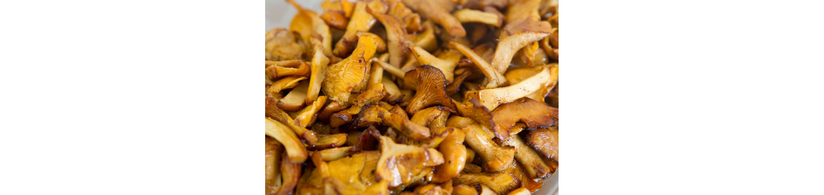 Fried oyster mushrooms strewn about.