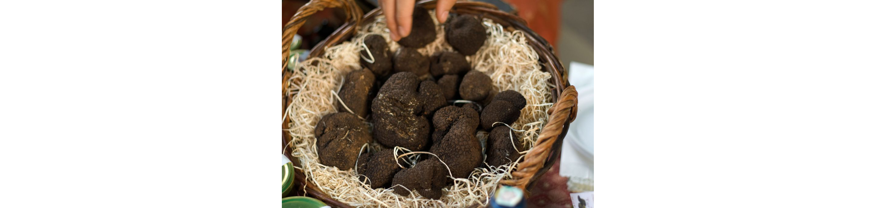 A small basket filled with black truffle mushrooms.