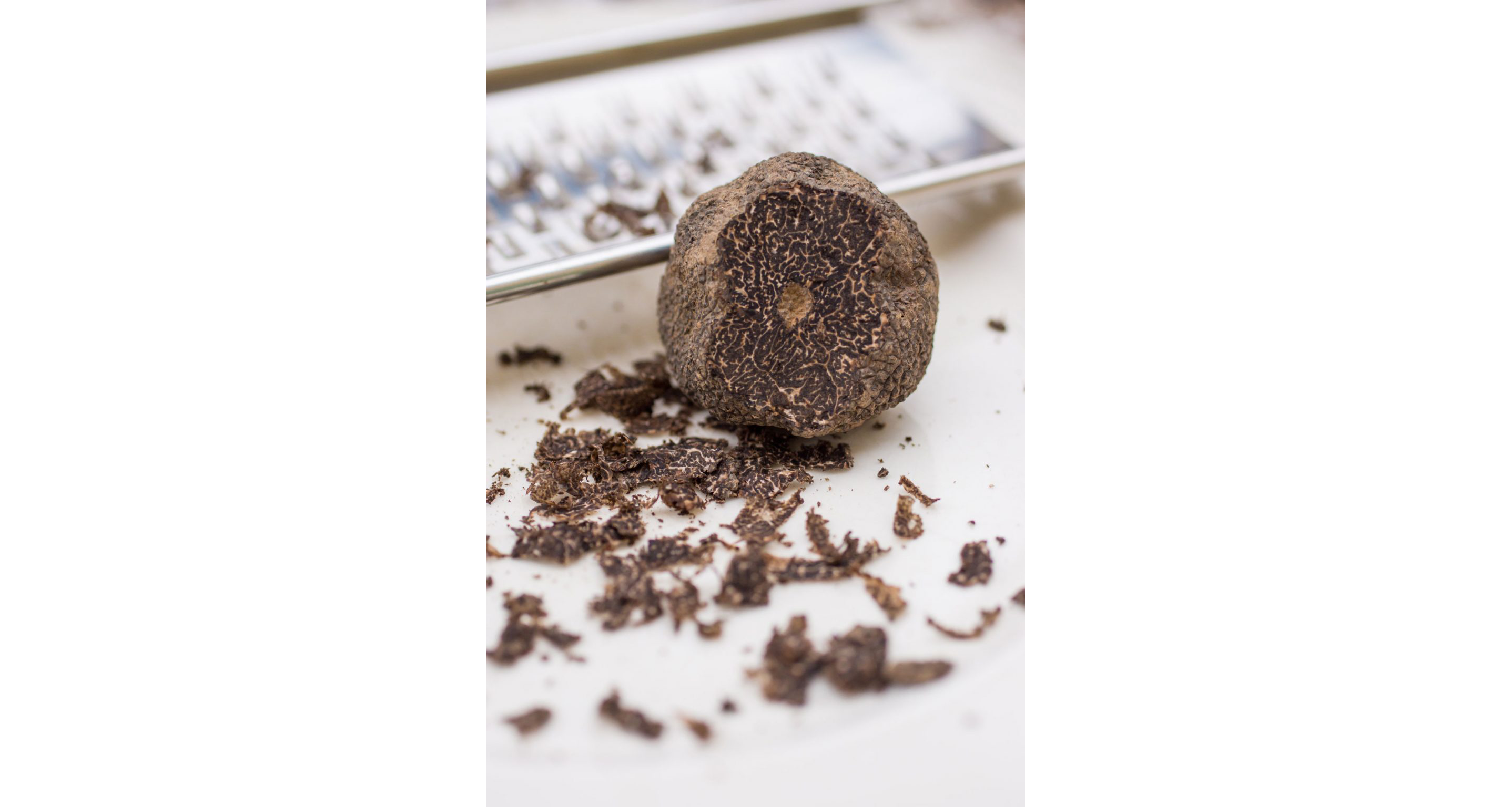 A single black truffle mushroom.