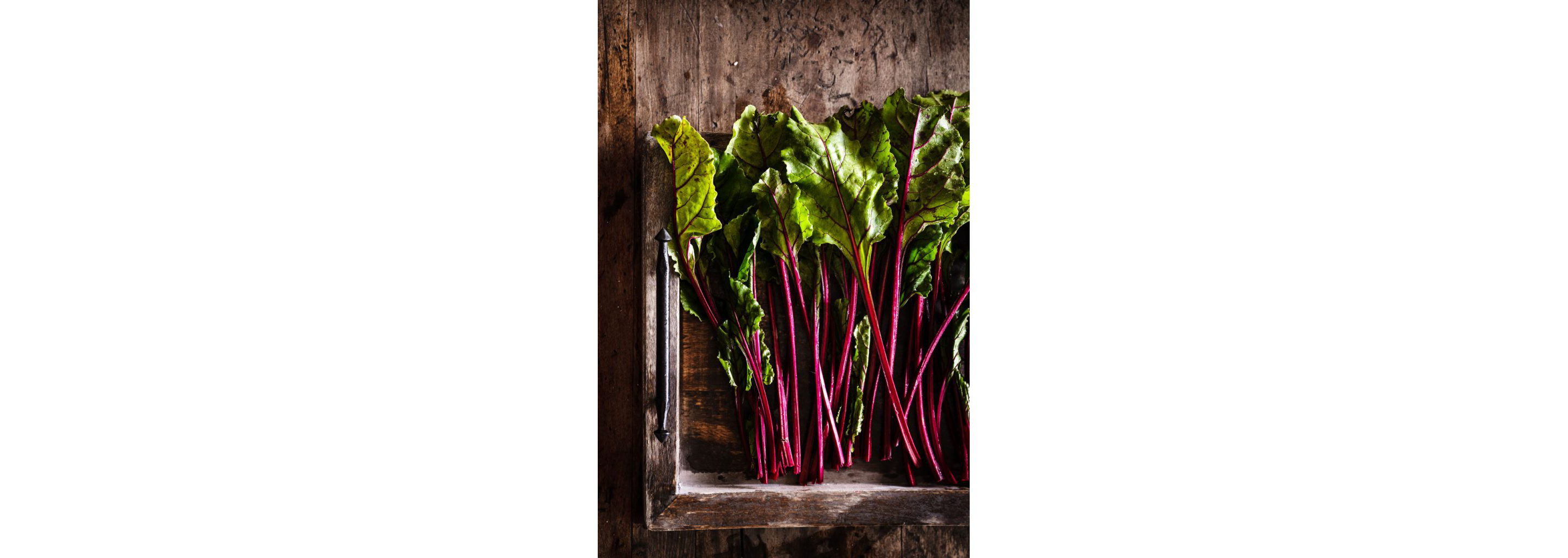 The leaves of beetroots.