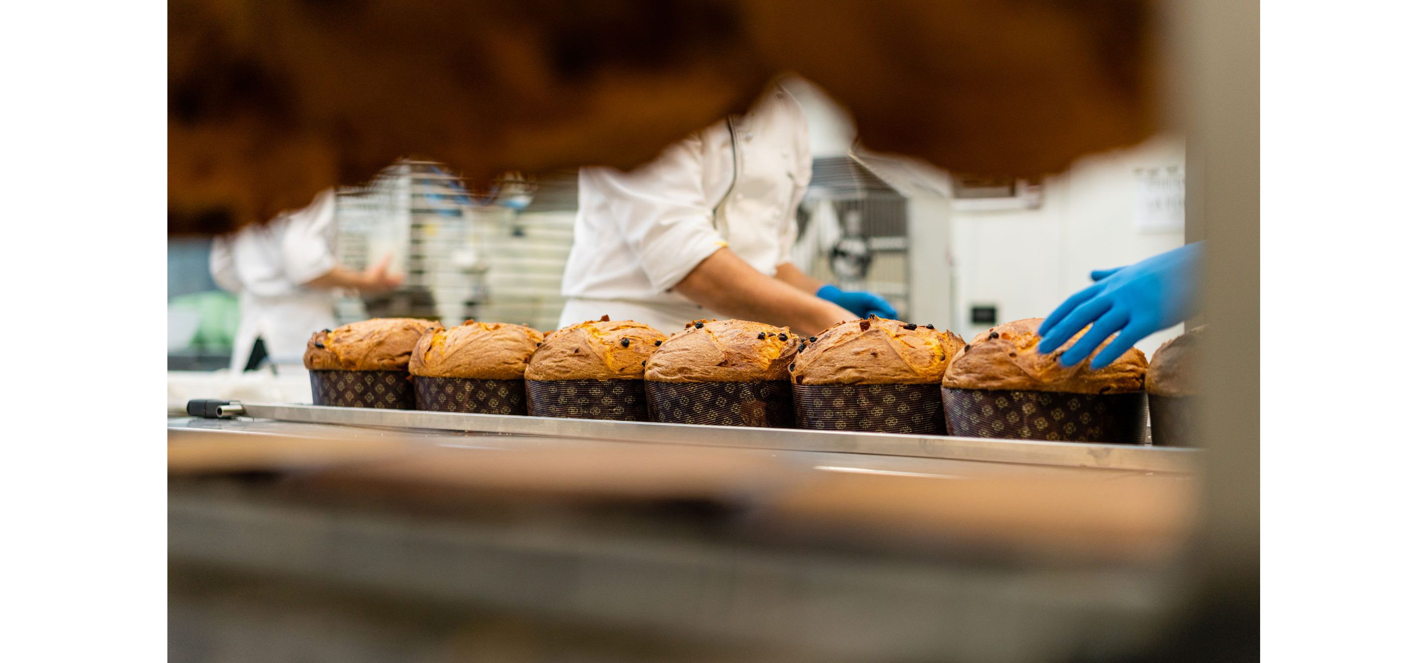 Loaves of fresh panettone laid out in a neat row.