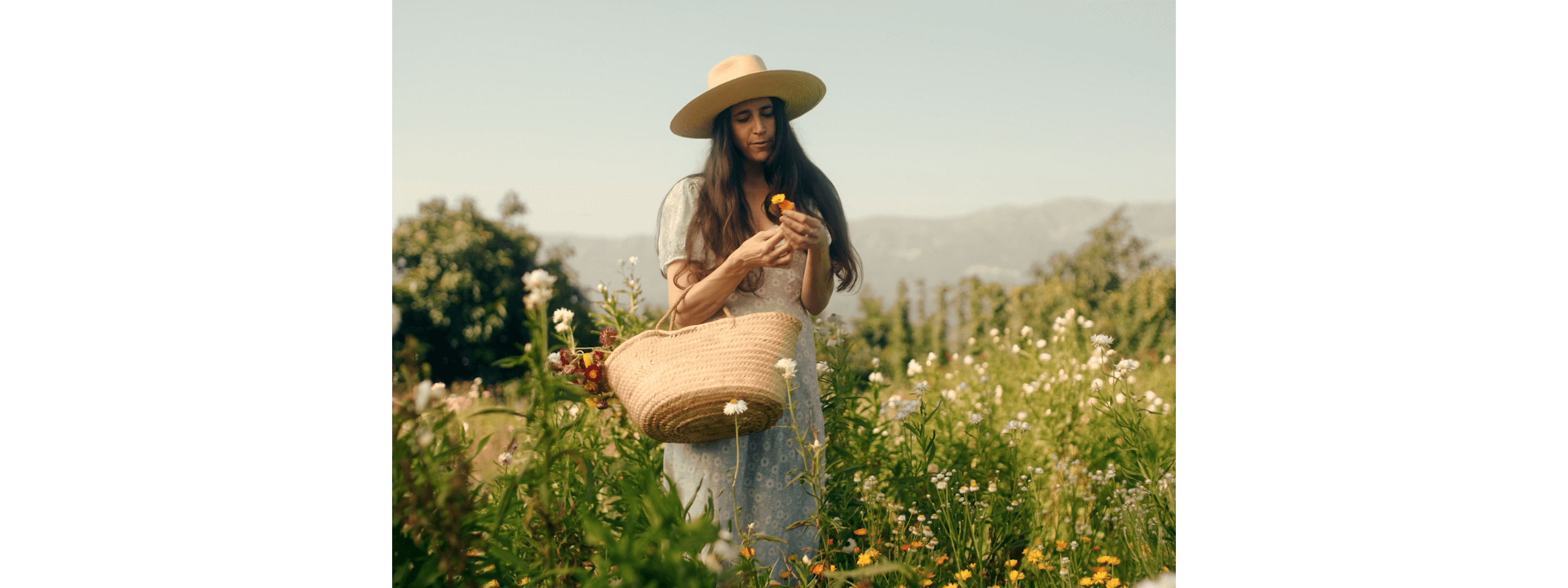 Loria Stern picking flowers in a field.