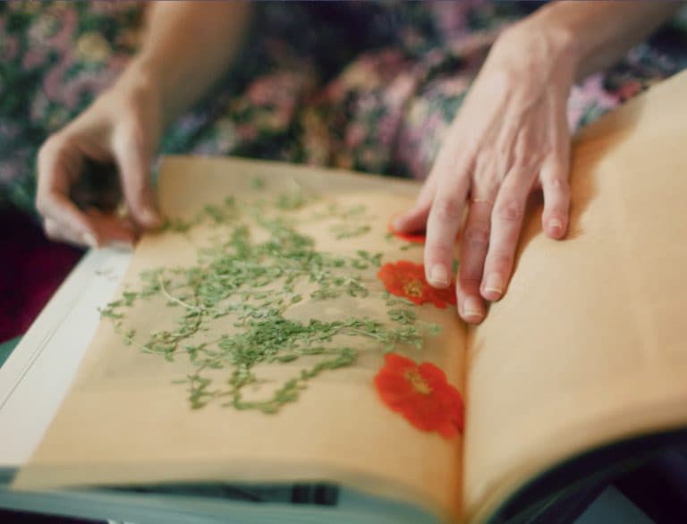 Portrait of a Maker: Loria Stern | KitchenAid