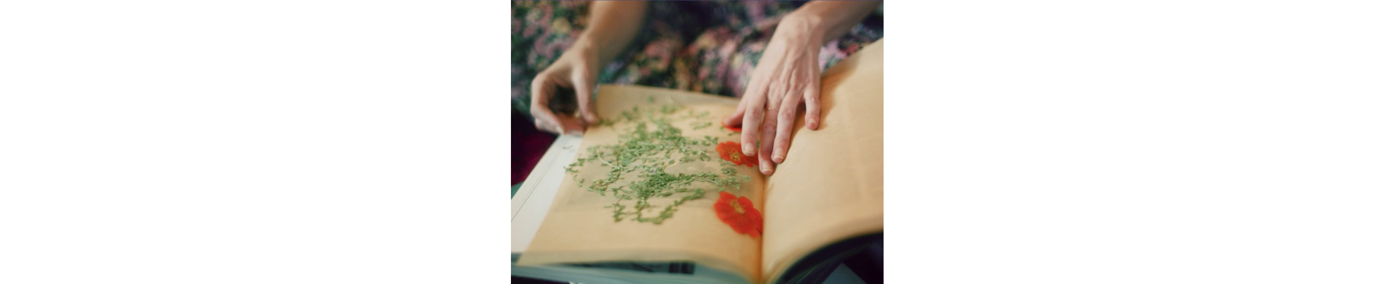 Loria Stern pressing flowers with a book.