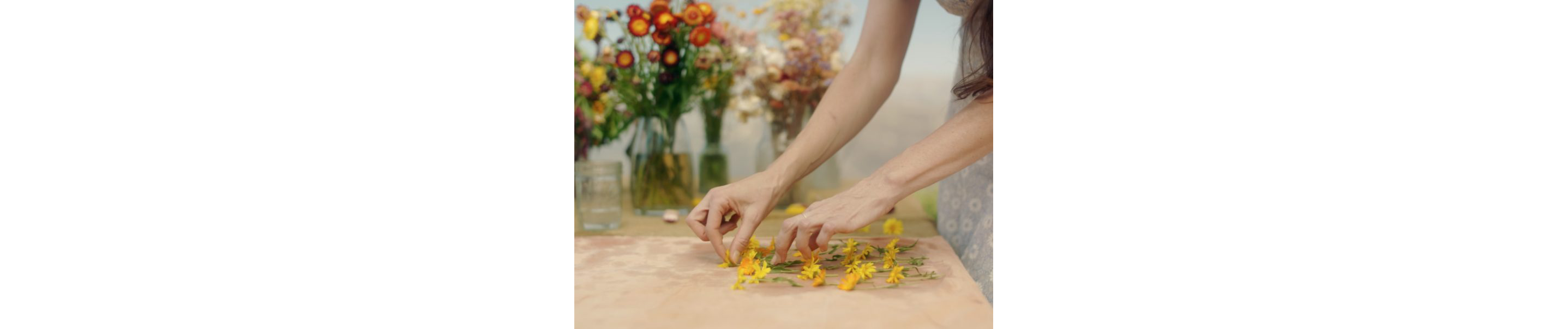 Loria Stern cleaning small, freshly picked flowers.