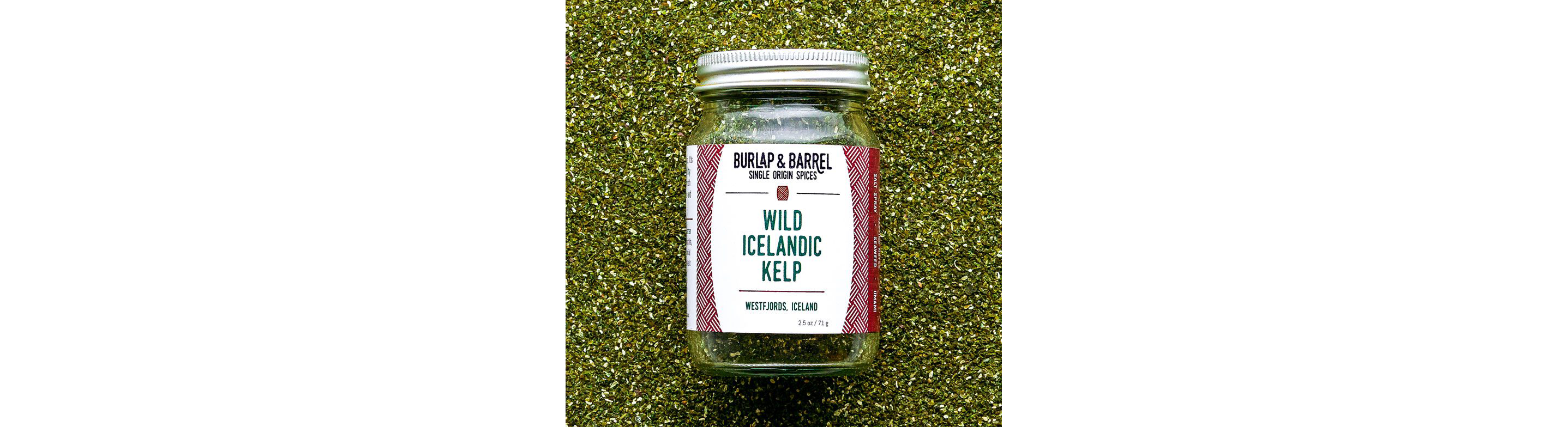 Wild Icelandic kelp in a glass jar.
