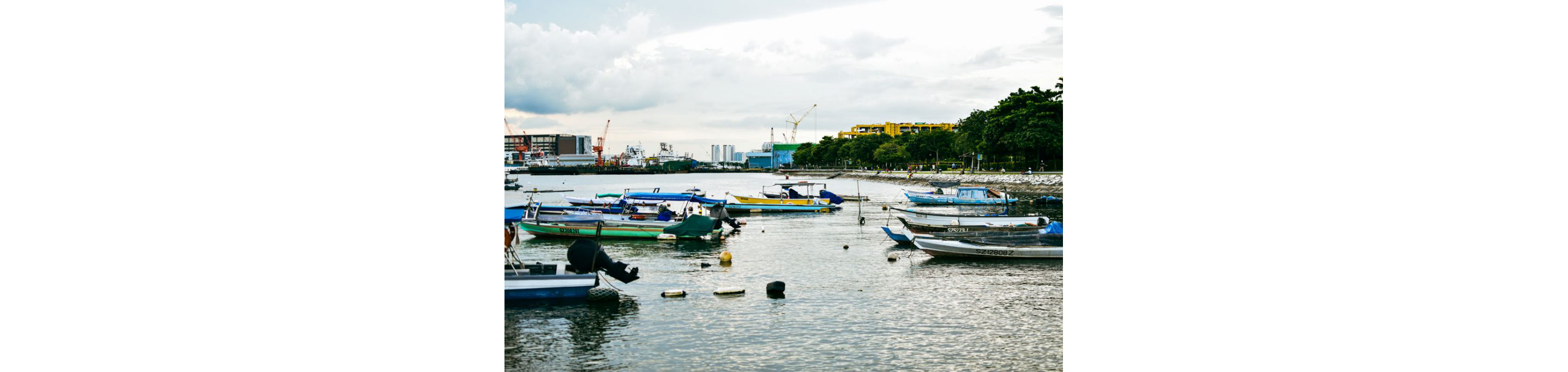 Boats docked in the water.