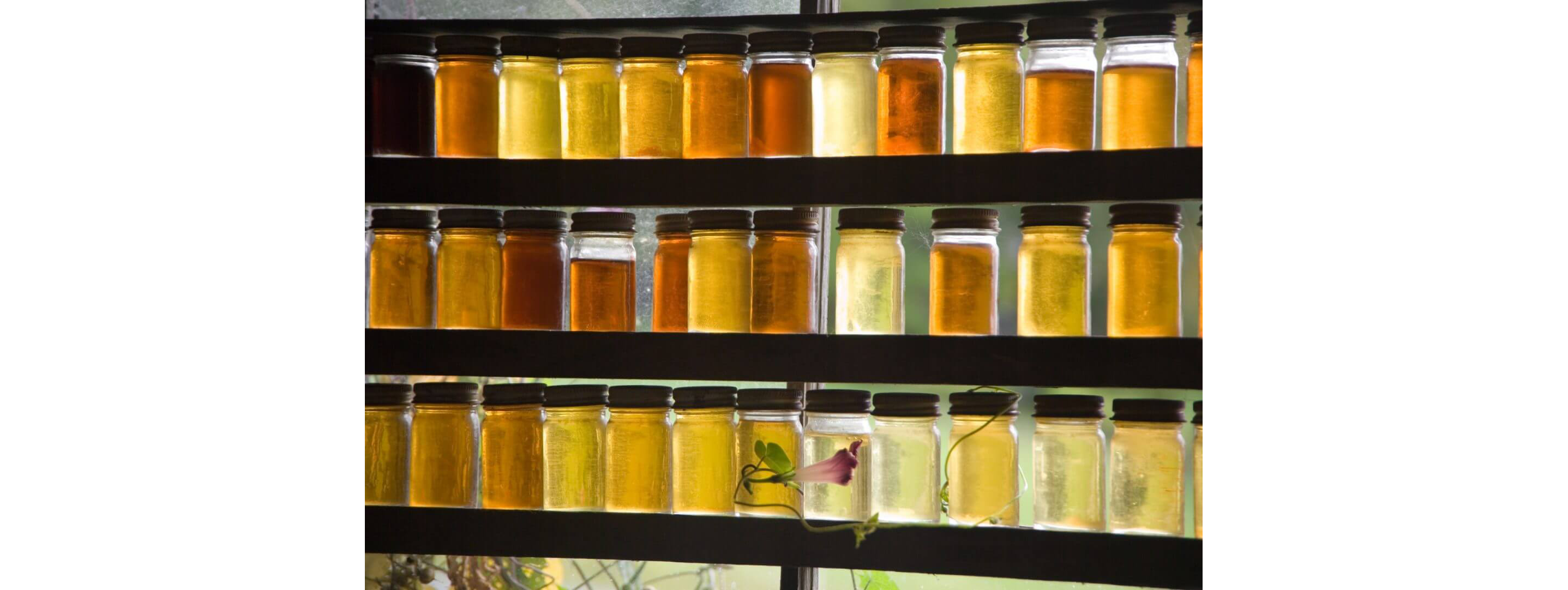 Shelves perfectly arranged with jars of syrup of varying shades of color.